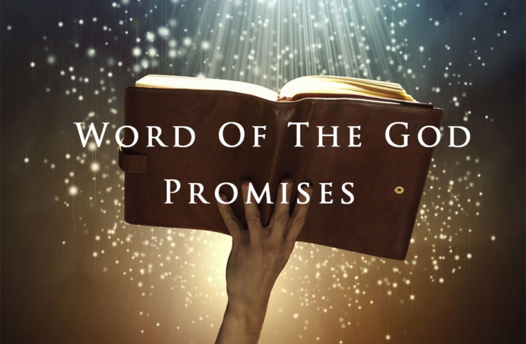 40 PROMISES OF THE WORD OF THE GOD!
